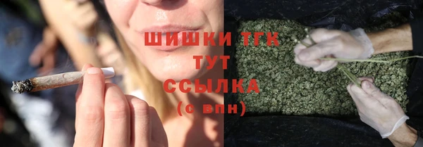мяу мяу кристалл Корсаков