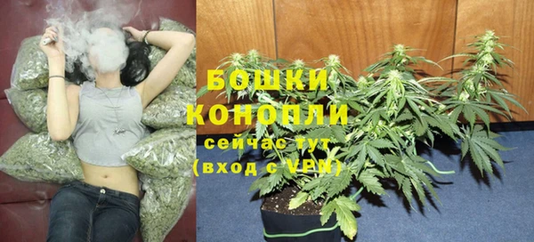 ECSTASY Козловка