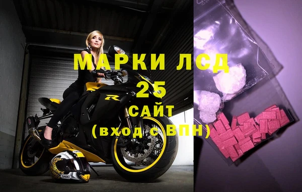 ПСИЛОЦИБИНОВЫЕ ГРИБЫ Кодинск
