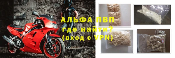 ПСИЛОЦИБИНОВЫЕ ГРИБЫ Кодинск